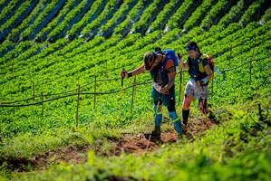 BIB: 
                            <button type="button" onclick="openModal(19161354)" class="btn btn-primary btn-sm float-right btn-popup" data-toggle="modal" data-target=".modal-high-quality">
                        <i class="fas fa-shopping-cart"></i> Add to Cart
                    </button>
                                            <button type="button" onclick="isThisMe(19161354, true)" class="btn btn-success btn-sm float-right btn-popup btn-isme hidden" data-toggle="tooltip" data-placement="bottom" title="นี่คือรูปของคุณใช่ไหม คลิกที่นี่เพื่อเอาเข้าอัลบั้ม">
                        <i class="fas fa-plus"></i> Add to album
                    </button>
                    <button type="button" onclick="isThisMe(19161354, false)" class="btn btn-warning btn-sm float-right btn-popup btn-isnotme hidden">
                        <i class="fas fa-ban"></i> Remove from album
                    </button>